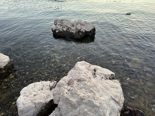 Palm trees, silver sunset sea, romantic sunset, look like pineapples, Montenegro Kindness Mountains Sea Walk Adventure Tourism attraction