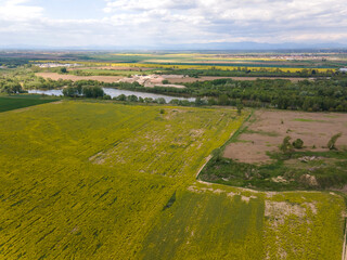 Fototapeta na wymiar Blooming rapeseed field near village of Kostievo, Bulgaria