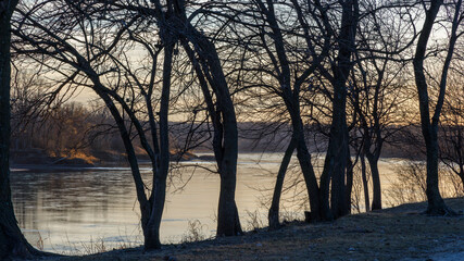 missouri river at sunset with silhouettes of bare trees in the foreground