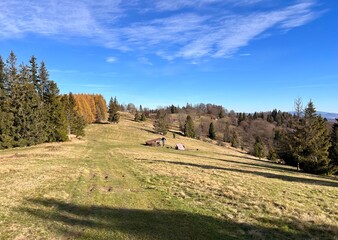landscape with mountain meadow and a tourist shelter