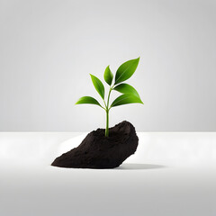 career development, minimalism, plant in the ground in the office, development concept