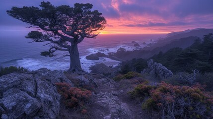 a tree sitting on top of a rocky hillside next to a body of water with a sunset in the background.