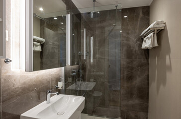 Bathroom interior with brown marble wall and glass shower cabin