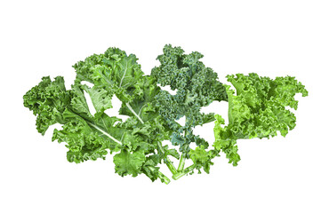 fresh kale isolated on transparent png