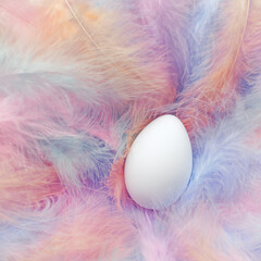 Single Easter egg in soft fluffy pastel feathers. Gentle Easter theme with blank white egg in delicate nest of feathers.