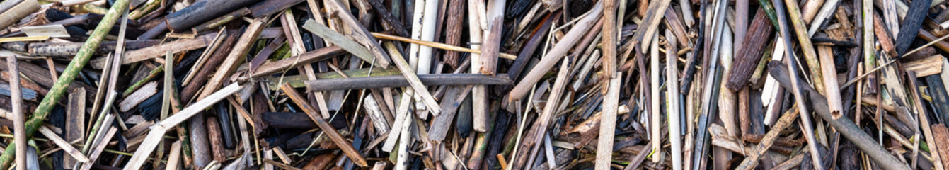 Closeup of pile of wood sticks washed up on shore, as a nature background
