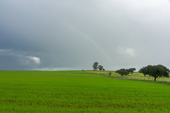 Landscape Agriculture: Field and Hut with Dark Clouds Sky and Rainbow.