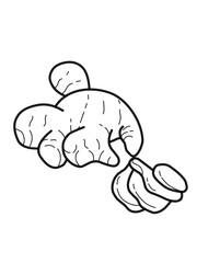 ginger vector sketch