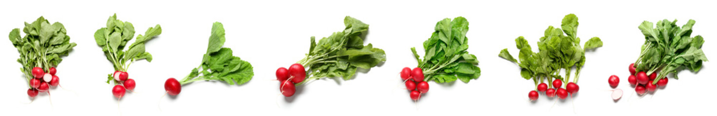 Set of fresh radish isolated on white