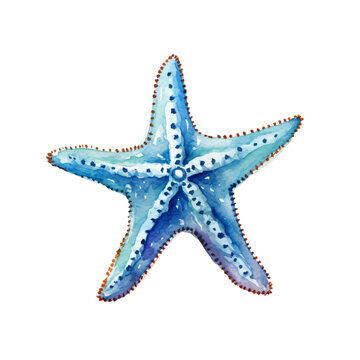 Watercolor painting of a starfish