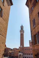 Naklejka premium Town Hall - Siena - Italy