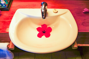 洗面台とハイビスカス