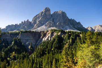 Dolomite panorama with summer vibes of grown forest and mountain Peitlerkofel