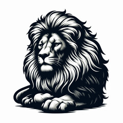 lion sit on white background