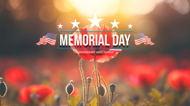 memorial day background with a poppy flowers and american flags