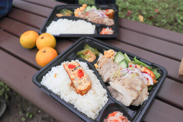 ピクニックのランチ、日本のランチボックス、弁当、みかん