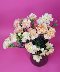 Carnation in vase 