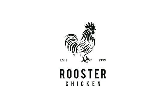 Premium luxury rooster logo vector illustration