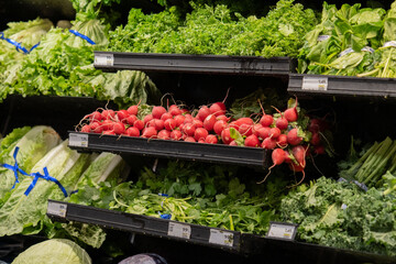 red raddishs in the market