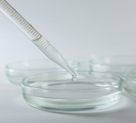 Dripping liquid from pipette into petri dish on light background, closeup