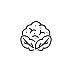 Cauliflower line icon isolated on transparent background