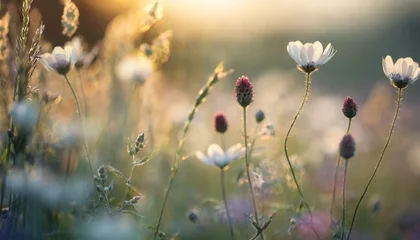 Foto op Plexiglas flowers in the field © Nguyen