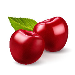 An illustration of a two red cherries with green leaf on backdrop on a plain white - 737651029