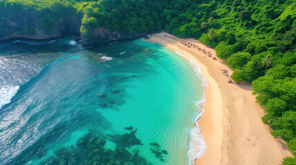 Top view of Tropical Beach Meets Pristine Ocean Waves, sea and beach, nature, travel brochures, summer, natural world, wallpaper, seascape, Travel and vacation concept
