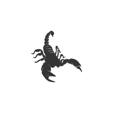 Scorpion silhouette flat vector design