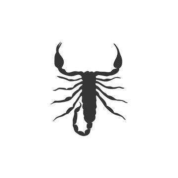 Scorpion silhouette flat vector design