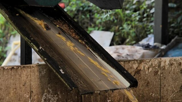 Wash coffee green bean after peeled coffee.