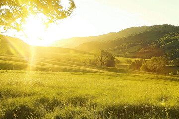 Golden sunlight bathes rolling meadows, casting warm hues and a sense of tranquility