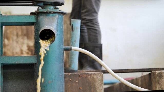 Wash coffee green bean after peeled coffee.