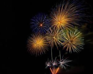 Fireworks in a black night sky, magnificent yellow and blue colors