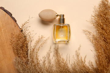 Bottle of perfume with pampas grass and wood on beige background. Top view