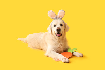 Cute Labrador dog in bunny ears with paper carrot lying on yellow background. Easter celebration