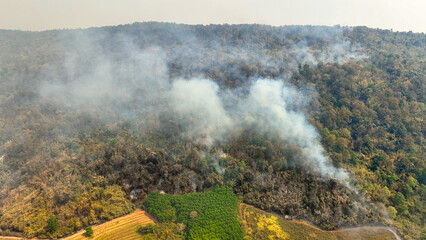 Climate change, Agriculture burning release carbon dioxide (CO2) emissions and other greenhouse...
