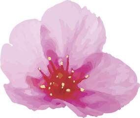 手描き風の桜イラスト

