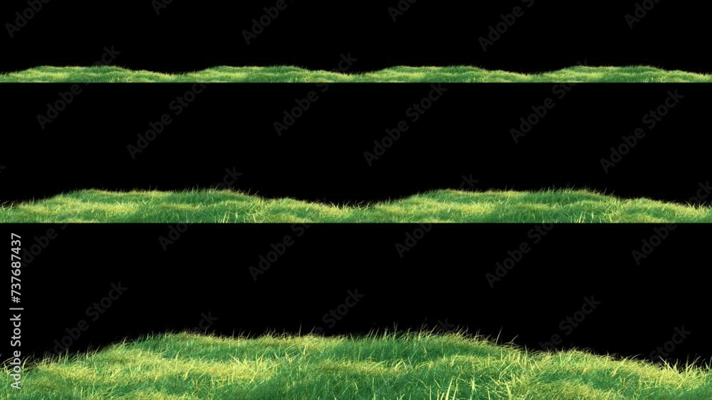 Wall mural grass wind noise loop on alpha channel. element footage place on footage or background and easier to
