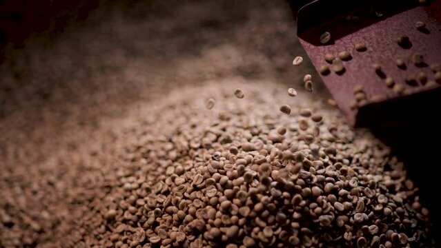Coffee bean sizing machine in the factory. Slow motion shot.