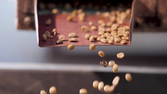 Coffee bean sizing machine in the factory. Slow motion shot.