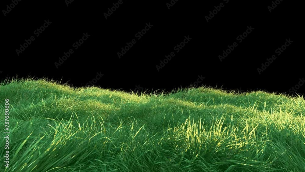 Wall mural grass wind noise loop on alpha channel. element footage place on footage or background and easier to