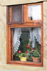 Vintage window in a wooden, rural house. There are flower pots with red flowers and white curtains with lace on the window. Stylization.