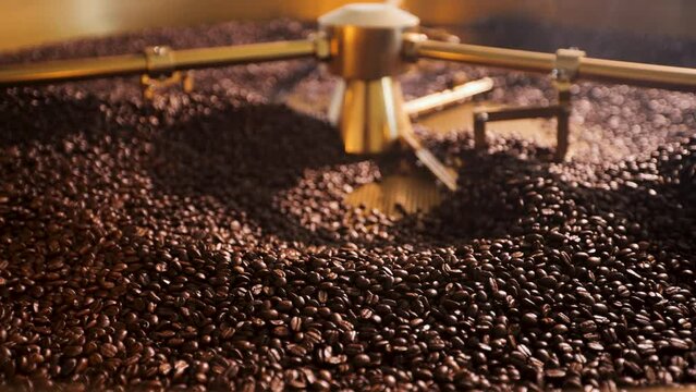 Cooling freshly roasted coffee beans.