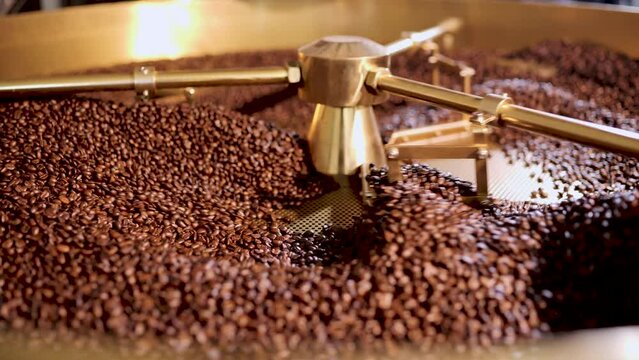 Cooling freshly roasted coffee beans.