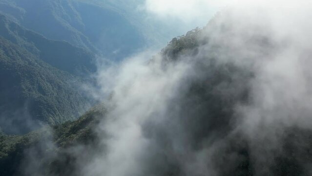 Nature aerial flight through backlit cloud in steep jungle mountain