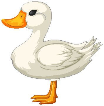 Vector graphic of a cute, stylized duck
