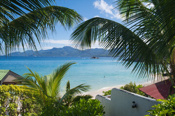 frame view though palms tree to anse soleil beach on the beautiful tropical paradise island Mahe Seychelles