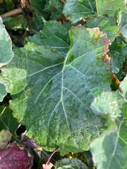 Wald, Wege und Landschaft