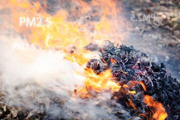 Step into the haze of a bonfire's smoke, filled with PM2.5 particles, and grasp the environmental...
